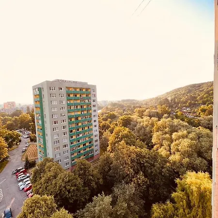 Sparrow Apartmens 3